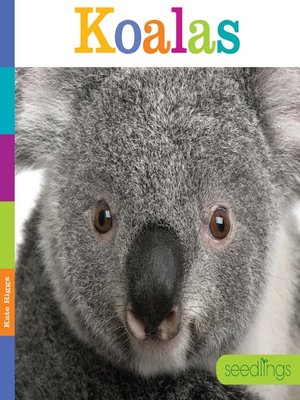 cover image of Koalas